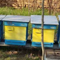 Кошери + пчелни рамки, снимка 2 - За пчели - 29871204