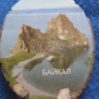 Дървен магнит върху бреза от езерота Байкал, Русия, снимка 3 - Колекции - 44694856