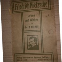 Nietzsche Leben und Wirken - Reiner Julius, снимка 1 - Други - 35184010