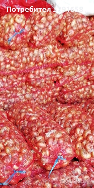 Продавам сух лук, снимка 1