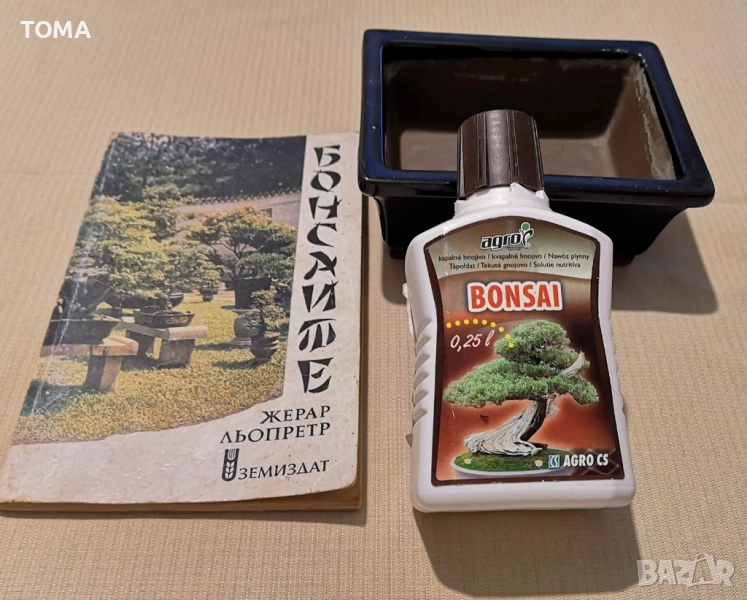 Керамична саксия за-Бонсай , и книжка за отглеждане на Бонсай., снимка 1