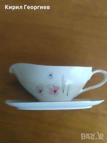 Красива сосиера, снимка 1