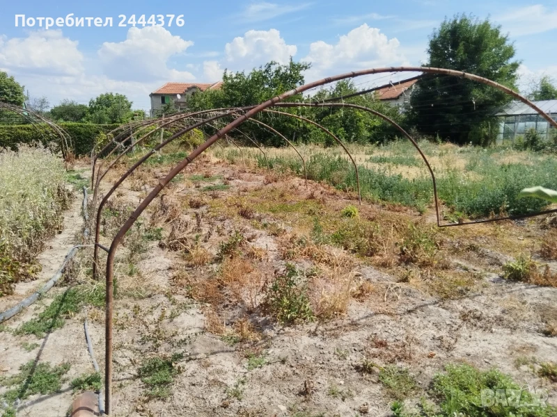 оранжерии, снимка 1