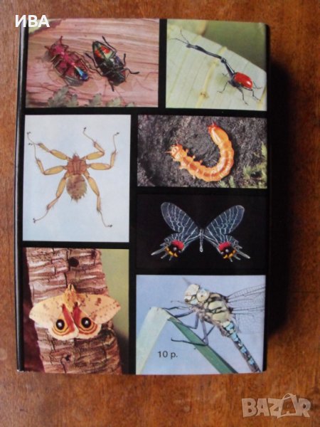 Иллюстрованная энциклопедия насекомых/на руски език/., снимка 1