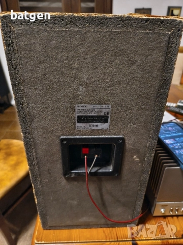 Sony ss-nx1, снимка 3 - Тонколони - 51955620