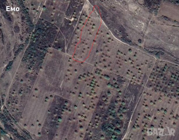 Продавам земя Статут - Овощна градина Ръжево Конаре, снимка 5 - Земеделска земя - 32160207