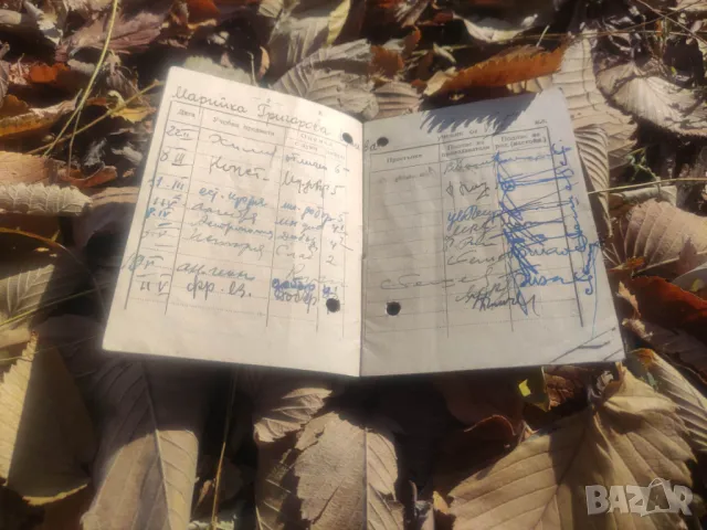 Лот стари документи : Бележник и книжка III  Софийска гимназия, снимка 5 - Колекции - 47887050
