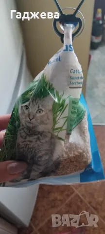 за котката драскалка, купа за храна, играчки, витамини, легло за радиатор, снимка 3 - За котки - 46759572