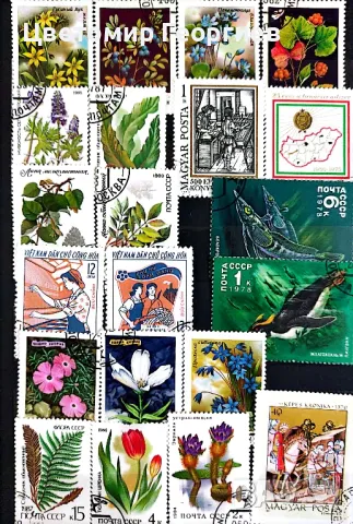 Класьор с марки 215 бр., снимка 4 - Филателия - 48165712