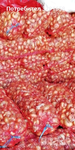 Продавам сух лук, снимка 1