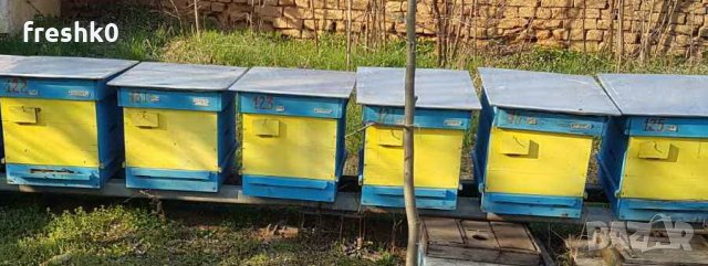 Кошери + пчелни рамки, снимка 2 - За пчели - 29871204