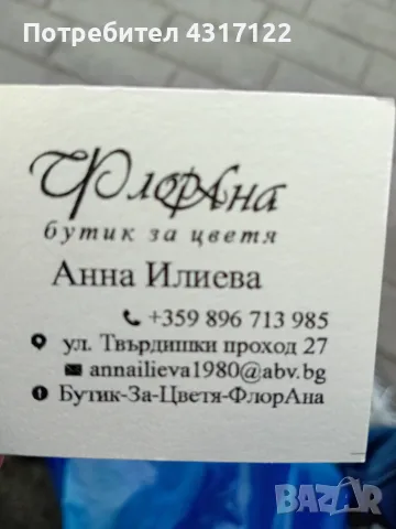 Коте коте коте коте само днес, снимка 2 - Други - 56269739