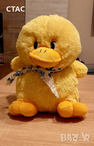 Музикална проходилка ,за бутане и музикална игра,за50лв, снимка 13 - Проходилки - 52532973