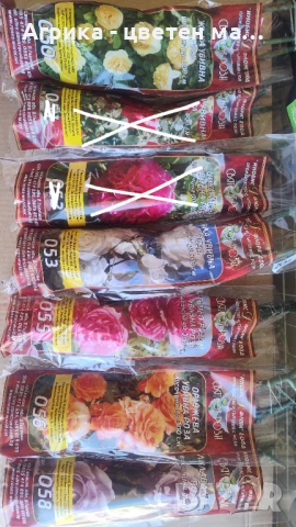 РОЗИ корени НОВО ЗАРЕЖДАНЕ от лицензиран разсадник 