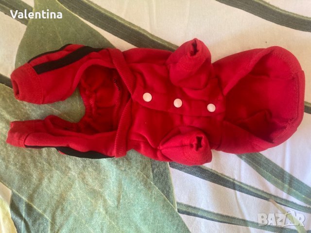 Спортно гащеризонче, снимка 2 - Йоркширски териер - 38021330