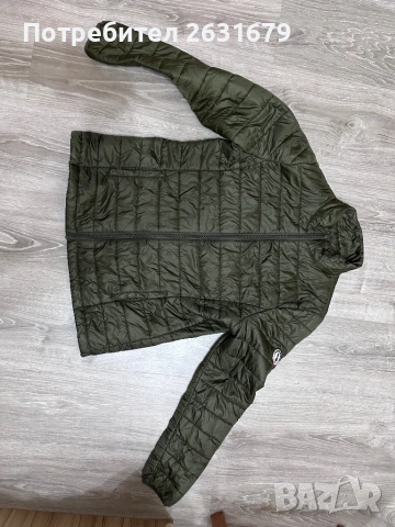 Пролетно яке 