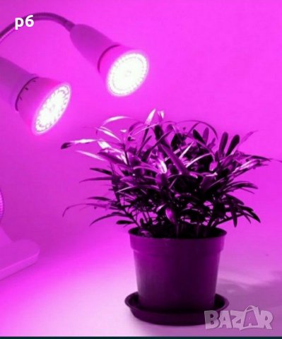 Лампа за бърз растеж Фито лампа Растения Лед Осветление Разсад, снимка 4 - Лед осветление - 31267909
