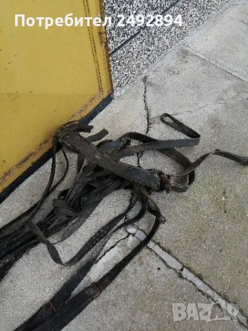 Конски хамут , снимка 11 - Други животни - 37651566