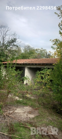 Продава къща село Княжевско, снимка 8 - Къщи - 52113929