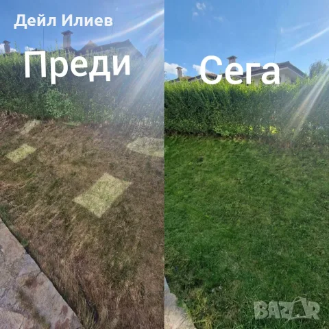 Градинарски услуги, снимка 6 - Други почистващи услуги - 55687910