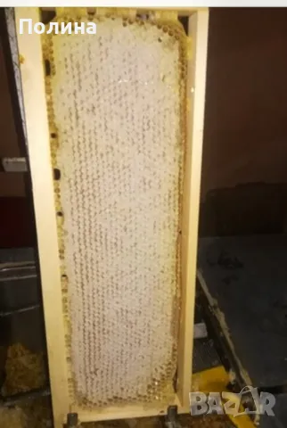 Домашен пчелен мед в тенекии юли 2025, снимка 2 - Пчелни продукти - 37057636