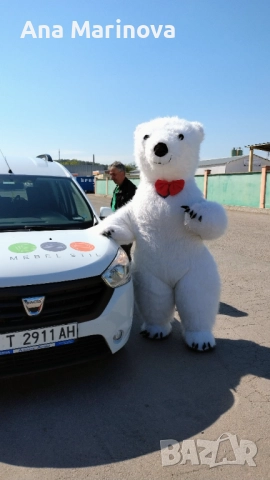 Лабубу,Капибара,Панда,Бяла мечка,Стич,Мики маус, снимка 5 - Други услуги - 52259089