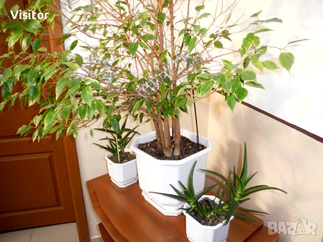 Medion MD 86830 14.0MPx, снимка 16 - Фотоапарати - 52976481