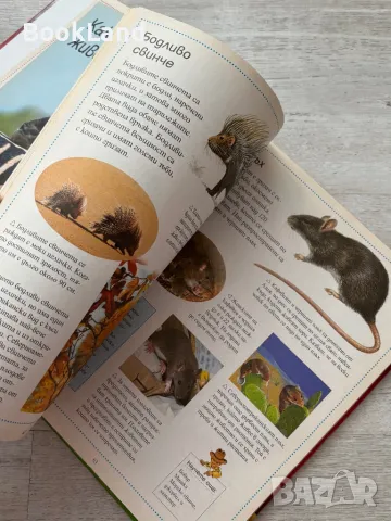 Енциклопедия на животните, Софтпрес, снимка 10 - Детски книжки - 49267308