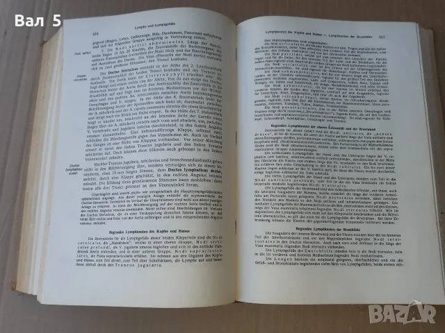Стар учебник АНАТОМИЯ НА ЧОВЕКА 1935 г - 880 стр . РЯДЪК !!!, снимка 8 - Специализирана литература - 55991969