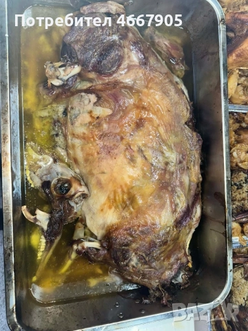 Агне/Пуйка на пещ, снимка 3 - Кетъринг - 52922991
