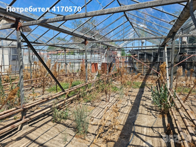Продава се стъклена оранжерия, снимка 10 - Оранжерии - 51642468