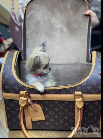 чанта за куче louis vuitton , снимка 3 - Чанти - 51831542