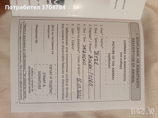 Продавам джак ръсел , снимка 5 - Джак ръсел териер - 54314143