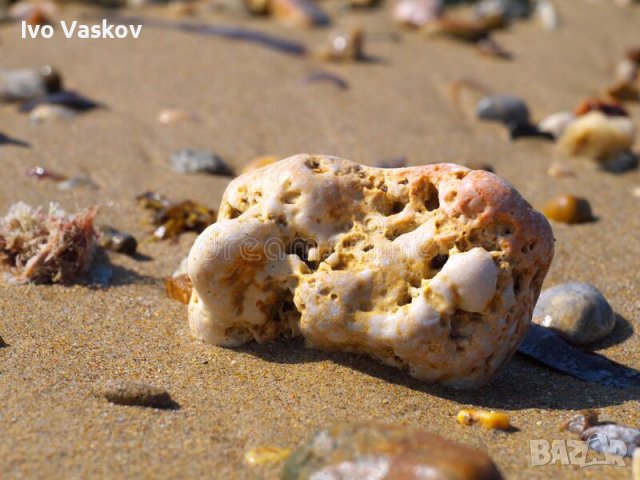 различни камъни за аквариум , снимка 1