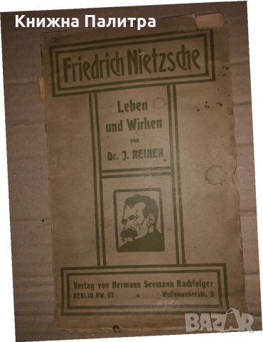 Nietzsche Leben und Wirken - Reiner Julius