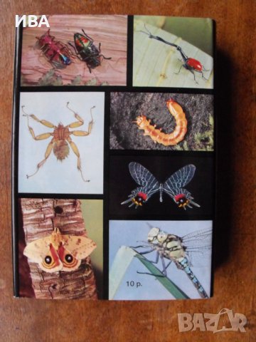 Иллюстрованная энциклопедия насекомых/на руски език/.