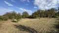 Парцел от СОБСТВЕНИК село Неново, снимка 10