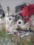 задни носачи и маркучи турбо за пежо 407 2.0 хди 136 к.с 2004 г бр 10 е е, снимка 1