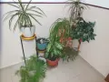 фотоапарат Nikon CoolPix S9300  - 16Mpx, снимка 18