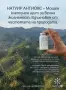 ANTIOX Мощен Антиоксидант от NATUIR, снимка 3