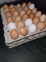 Домашни яйца , снимка 2