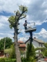 Рязане и кастрене на дървета с автовишка, снимка 14