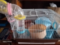 Клетка за хамстери , снимка 1