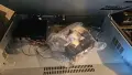 смесителен пулт behringer pmx5000, снимка 2