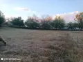 Поземлен имот в с. Горна Росица, снимка 5