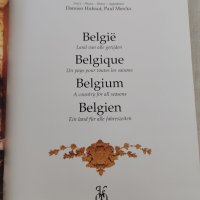 Богато илюстрирана луксозна книга с твърди корици: Belgique : un pays pour toutes les saisons, снимка 4 - Колекции - 42780097