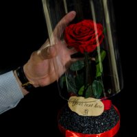 Вечна Роза в ГОЛЯМА стъкленица / Уникален Подарък за Жена / Естествена Вечна роза Подарък за Момиче, снимка 2 - Други - 34470627