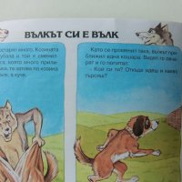 книжка с 4 приказки, снимка 5 - Детски книжки - 37348207