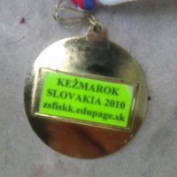 Словашки медал по ски, снимка 2 - Други ценни предмети - 37214713