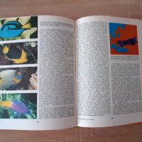 Животинският свят на Земята 1981г-детска енциклопедия, снимка 3 - Енциклопедии, справочници - 42776015
